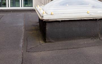 disadvantages of Horsleyhill flat roofs