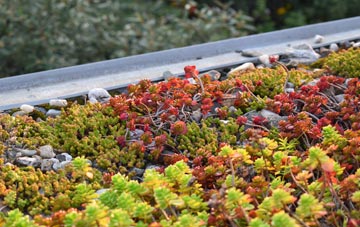 the cost of Horsleyhill green roof installation