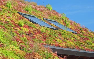 Horsleyhill living roof systems